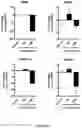 Fig. 34 - METHODS AND COMPOSITIONS FOR MODULATING THE IMMUNE SYSTEM WITH ARGINASE I