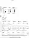 Fig. 06 - Identification of immunologically protective neo-epitopes for the treatment of cancers