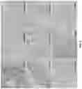 Fig. 07 - PEPTIDES AND COMBINATION OF PEPTIDES FOR USE IN IMMUNOTHERAPY AGAINST CANCERS