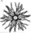 Fig. 01 - SELF-ASSEMBLING PROTEIN NANOPARTICLES ENCAPSULATING IMMUNOSTIMULATORY NUCLEID ACIDS
