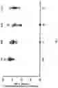 Fig. 02 - IMMUNOGENIC COMPOSITION COMPRISING SURVIVIN PEPTIDES
