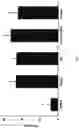 Fig. 03 - IMMUNOGENIC COMPOSITION COMPRISING SURVIVIN PEPTIDES