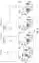 Fig. 10 - IMMUNOGENIC COMPOSITION COMPRISING SURVIVIN PEPTIDES