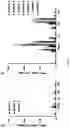 Fig. 13 - IMMUNOGENIC COMPOSITION COMPRISING SURVIVIN PEPTIDES