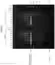 Fig. 02 - Compositions and methods for enhancing the stability of transgenes in poxviruses