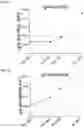 Fig. 14 - Methods and compositions for treating and diagnosing autoimmune diseases