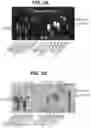 Fig. 04 - compositions and methods thereof