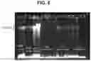 Fig. 09 - compositions and methods thereof