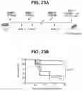 Fig. 29 - compositions and methods thereof