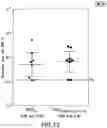 Fig. 16 - Polysaccharide-protein conjugates utilizing diphtheria toxin fragment B as a carrier