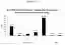 Fig. 15 - Influenza virus mutants and uses therefor