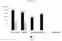 Fig. 18 - Influenza virus mutants and uses therefor