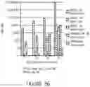 Fig. 37 - Influenza virus mutants and uses therefor