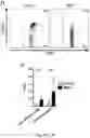 Fig. 04 - Newcastle disease viruses and uses thereof