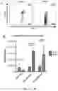 Fig. 05 - Newcastle disease viruses and uses thereof