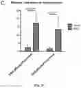 Fig. 06 - Newcastle disease viruses and uses thereof