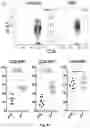 Fig. 09 - Newcastle disease viruses and uses thereof