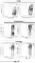Fig. 12 - Newcastle disease viruses and uses thereof