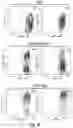 Fig. 13 - Newcastle disease viruses and uses thereof