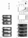 Fig. 18 - Newcastle disease viruses and uses thereof