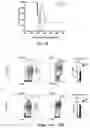 Fig. 25 - Newcastle disease viruses and uses thereof