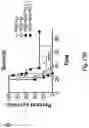 Fig. 33 - Newcastle disease viruses and uses thereof