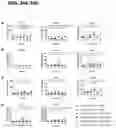 Fig. 43 - Newcastle disease viruses and uses thereof