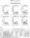 Fig. 58 - Newcastle disease viruses and uses thereof