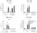 Fig. 63 - Newcastle disease viruses and uses thereof