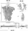 Fig. 02 - Prefusion coronavirus spike proteins and their use