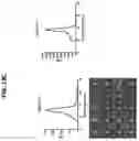 Fig. 20 - Prefusion coronavirus spike proteins and their use
