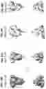 Fig. 22 - Prefusion coronavirus spike proteins and their use