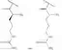 Fig. 43 - DERIVATIZED POLYGLUCOSAMINES FOR DELIVERY OF SMALL MOLECULES, PEPTIDES, AND PROTEINS