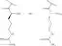 Fig. 59 - DERIVATIZED POLYGLUCOSAMINES FOR DELIVERY OF SMALL MOLECULES, PEPTIDES, AND PROTEINS