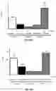 Fig. 08 - Single wall nanotube constructs and uses thereof