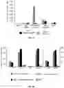 Fig. 14 - Single wall nanotube constructs and uses thereof