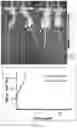 Fig. 04 - Cleavable esters for nanocarrier-based cancer therapy
