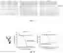 Fig. 11 - Functionalization of bacterial effector translocase protein by chemical conjugation