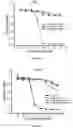 Fig. 13 - Functionalization of bacterial effector translocase protein by chemical conjugation