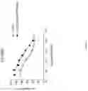 Fig. 05 - IL2 and TNF mutant immunoconjugates
