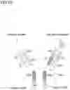Fig. 07 - Bi-specific antibodies and uses thereof