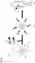 Fig. 08 - Bi-specific antibodies and uses thereof