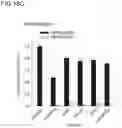 Fig. 35 - Bi-specific antibodies and uses thereof