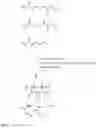 Fig. 04 - Nanostructured active ingredient carrier system