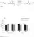 Fig. 08 - Nanostructured active ingredient carrier system