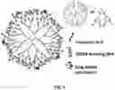 Fig. 02 - Method of delivering genes and drugs to a posterior segment of an eye