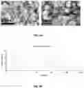 Fig. 07 - Method of delivering genes and drugs to a posterior segment of an eye