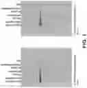 Fig. 02 - Gene therapy for ocular disorders