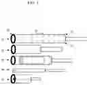 Fig. 04 - METHODS FOR DELIVERING GENE EDITING REAGENTS TO CELLS WITHIN ORGANS