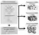 Fig. 01 - Compositions for Real-Time Oxygen Measurements and Methods of Making and Using Same